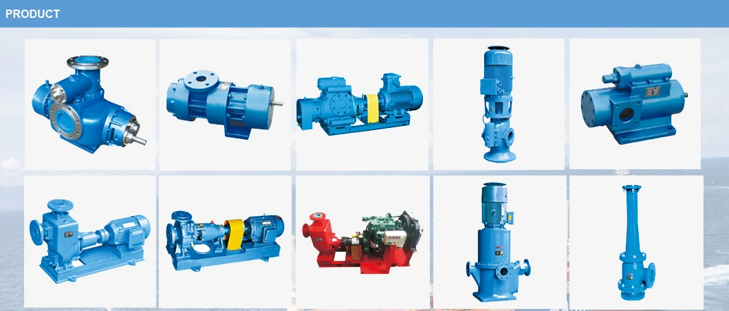 Marine Positive Displacement Twin Screw Heavy Fuel Oil Pumps with Classification Society Certificate