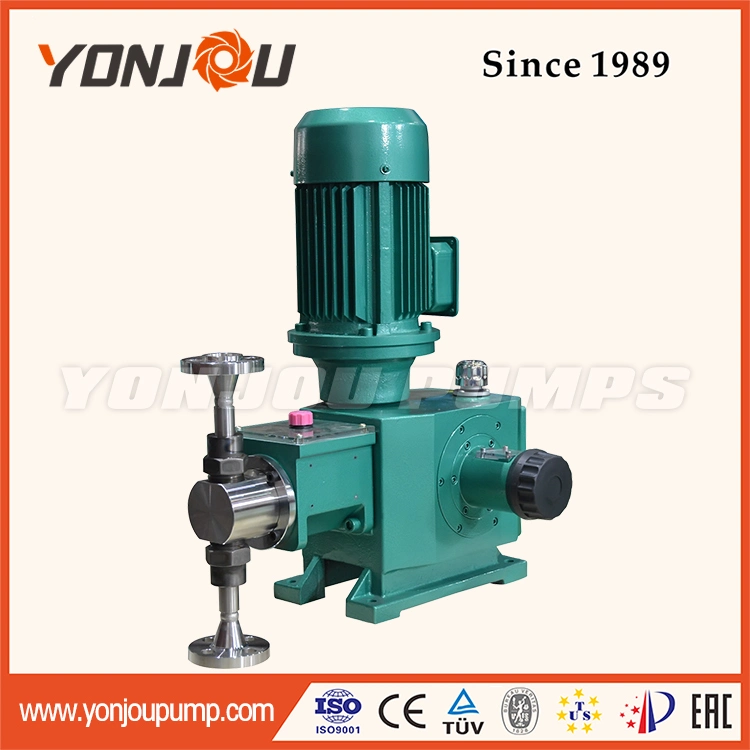 Plunger Type Automatic Chemical Dosing Pump (Mechanical Diaphragm Available)