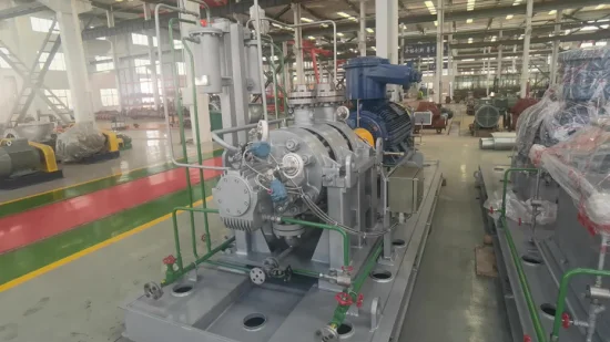 Pompa centrifuga multistadio ad alta pressione e alta temperatura serie API 610 Bb5 (FHB) per l'industria chimica del petrolio e del gas