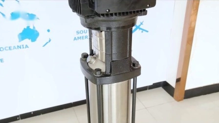 Pompa idraulica centrifuga multistadio verticale 50Hz/60Hz per grattacieli