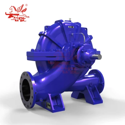 Pompa acqua centrifuga a doppia aspirazione resistente alla corrosione serie API610 Fsb Bb1