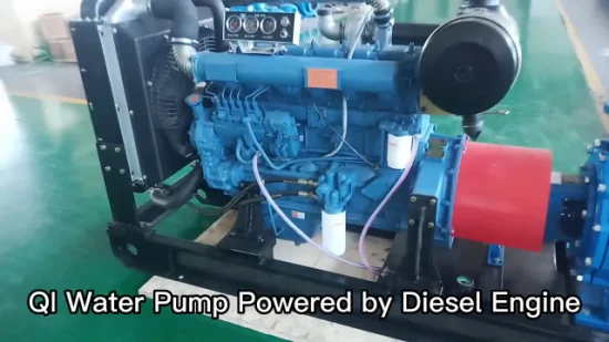 Pompa dell'acqua per motore diesel con irrigazione centrifuga orizzontale da 6 pollici